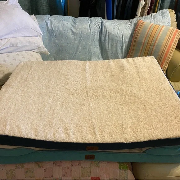 Large Dog Supplies Bundle